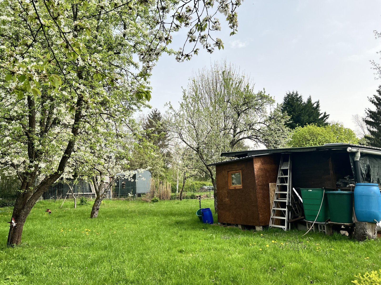 Provisionsfrei: Viel Platz für Freizeit, Gartenträume und Wohnen - Grundstück in Postbauer-Heng