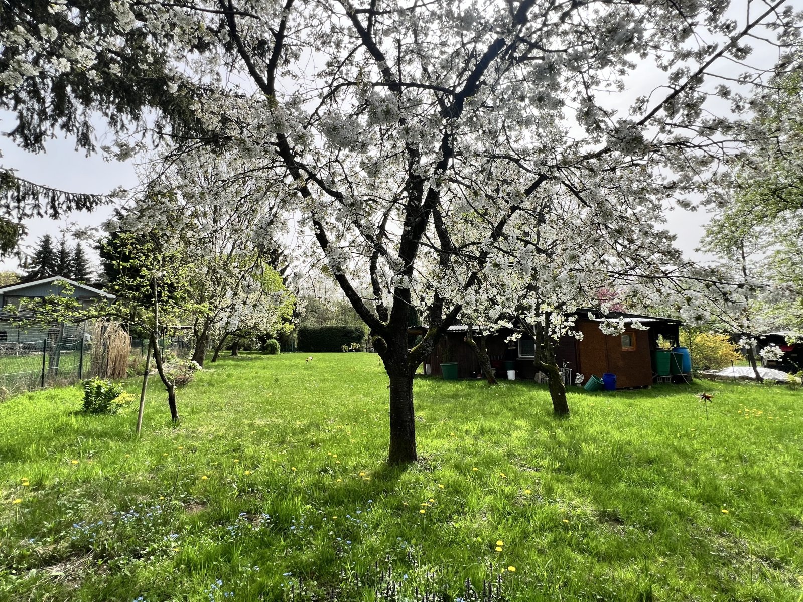Provisionsfrei: Viel Platz für Freizeit, Gartenträume und Wohnen - Grundstück in Postbauer-Heng
